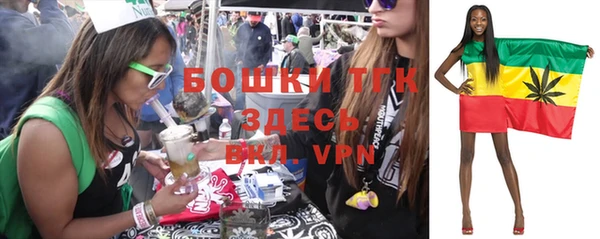 эйфоретик Горнозаводск